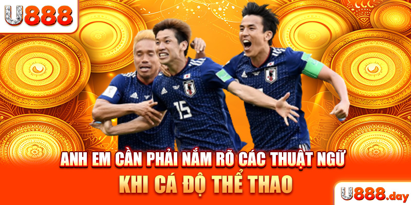 Anh em cần phải nắm rõ các thuật ngữ khi cá độ thể thao