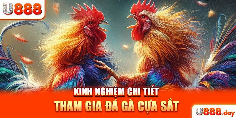 Kinh nghiệm chi tiết tham gia đá gà cựa sắt 