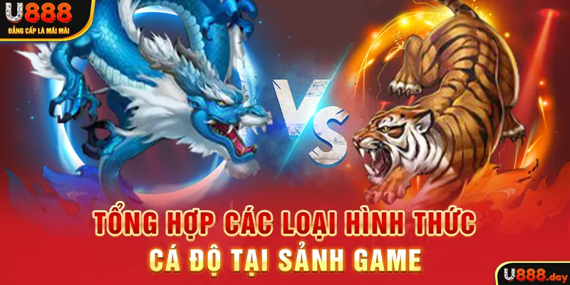 Tổng hợp các loại hình thức cá độ tại sảnh game