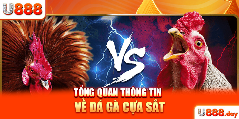 Tổng quan thông tin về đá gà cựa sắt