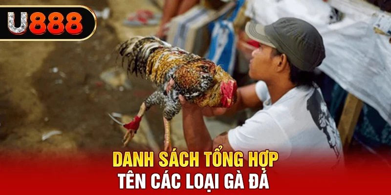 Danh sách tổng hợp tên các loại gà đá phổ cập theo lối đá 