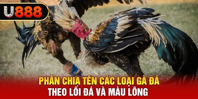 Tên các loại gà đá