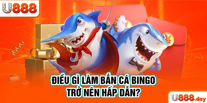 Điều gì làm bắn cá Bingo trở nên hấp dẫn?