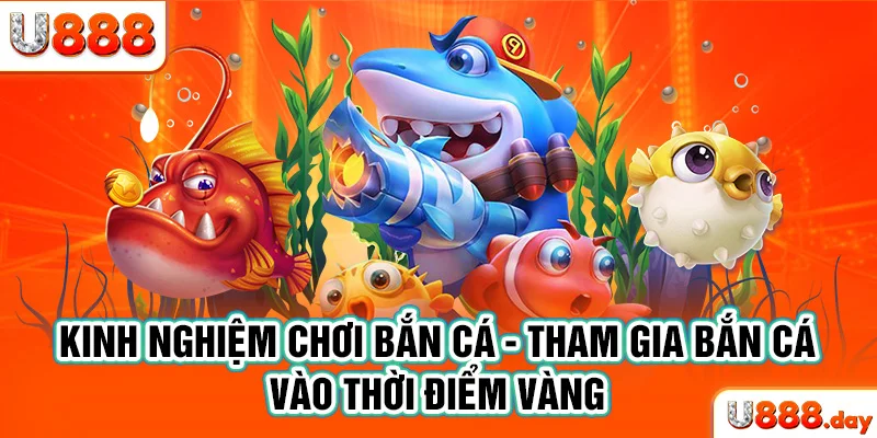 Kinh nghiệm chơi bắn cá -Tham gia bắn cá vào thời điểm vàng